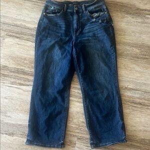 Judy Blue Wide Leg Blue Jeans